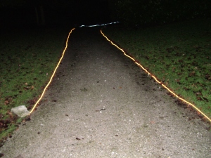 Pathway with rope light